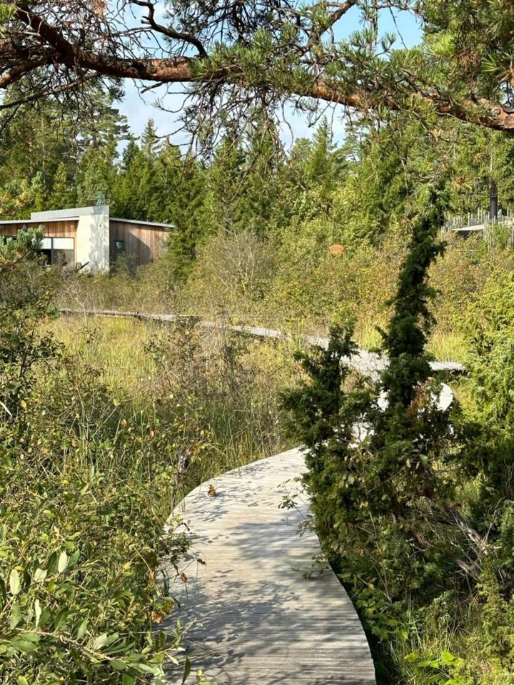 Maven Kustnaera Stugor Kappelshamn Zewnętrze zdjęcie